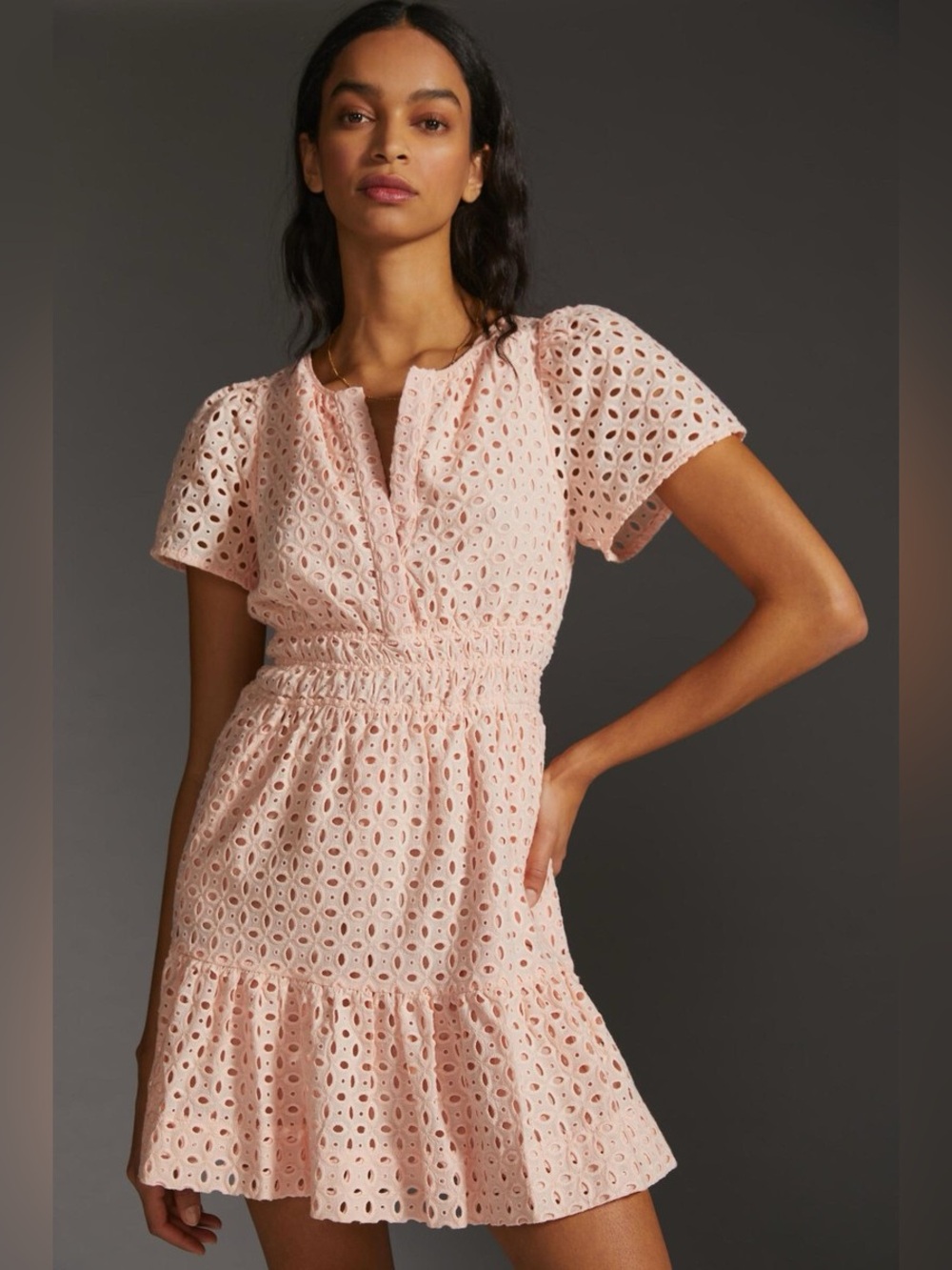 Anthropologie Somerset Eyelet Pink Mini Dress